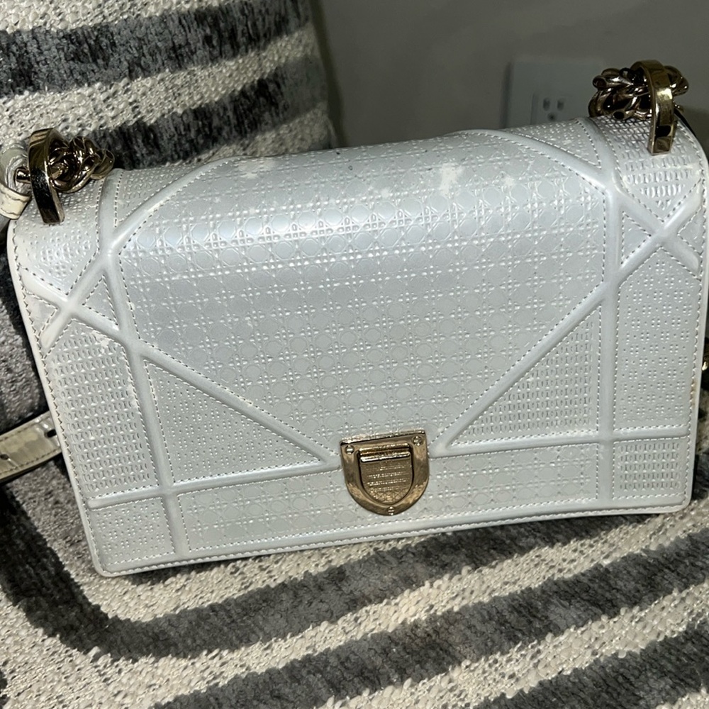 DIORAMA PURSE LIMITED EDITION